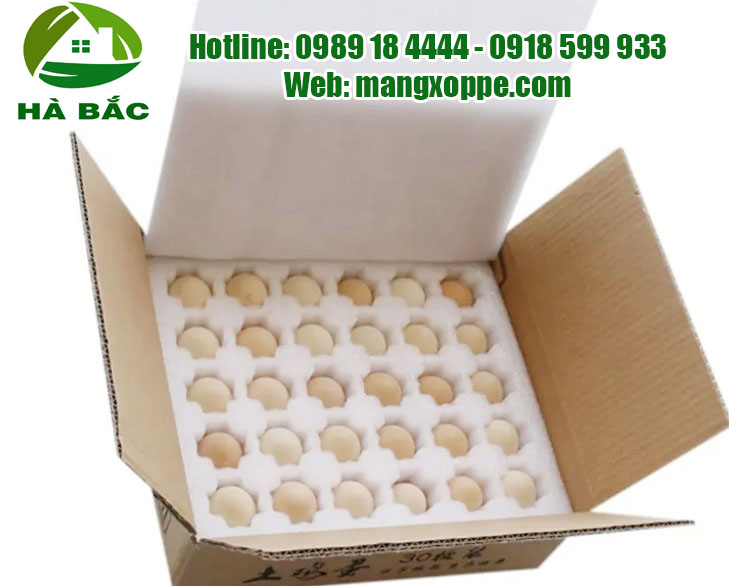 khay-epe-van-chuyen-trung